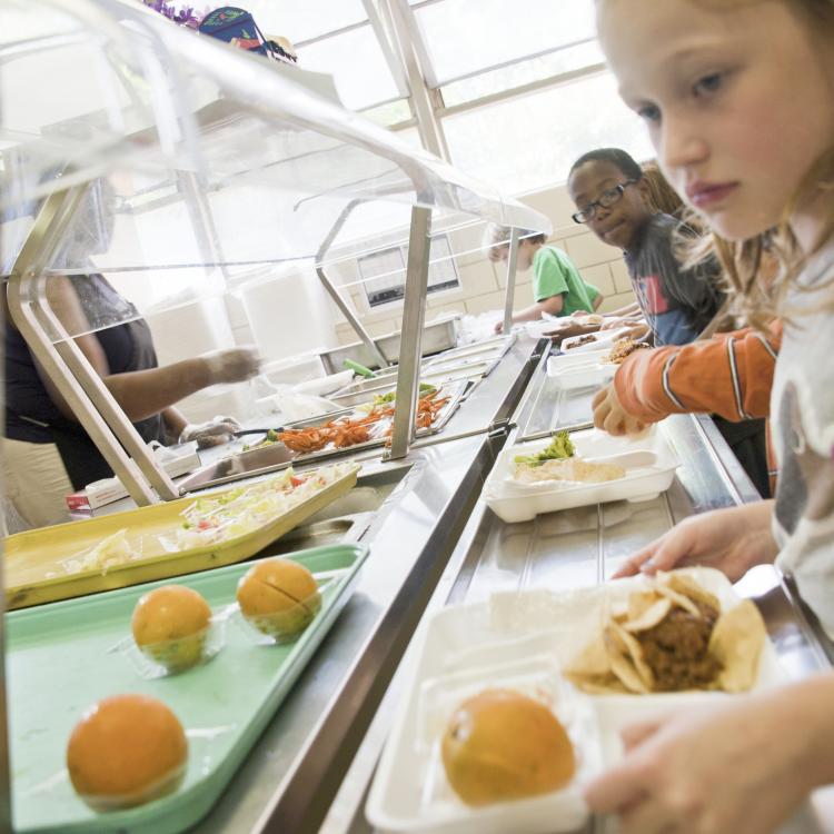 Free School Meals