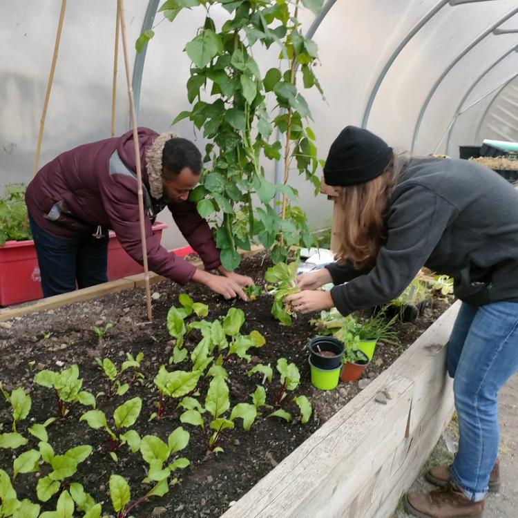 Veg advocates