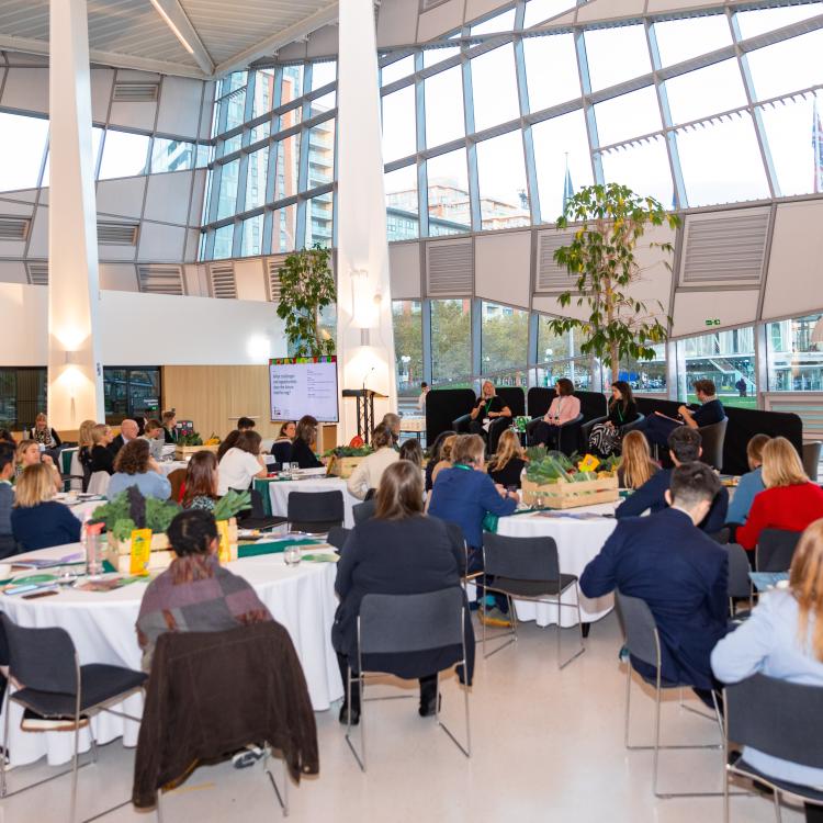 Veg Summit venue